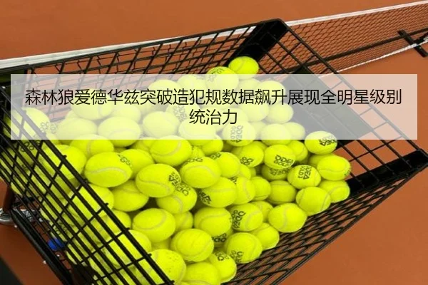 森林狼爱德华兹突破造犯规数据飙升展现全明星级别统治力